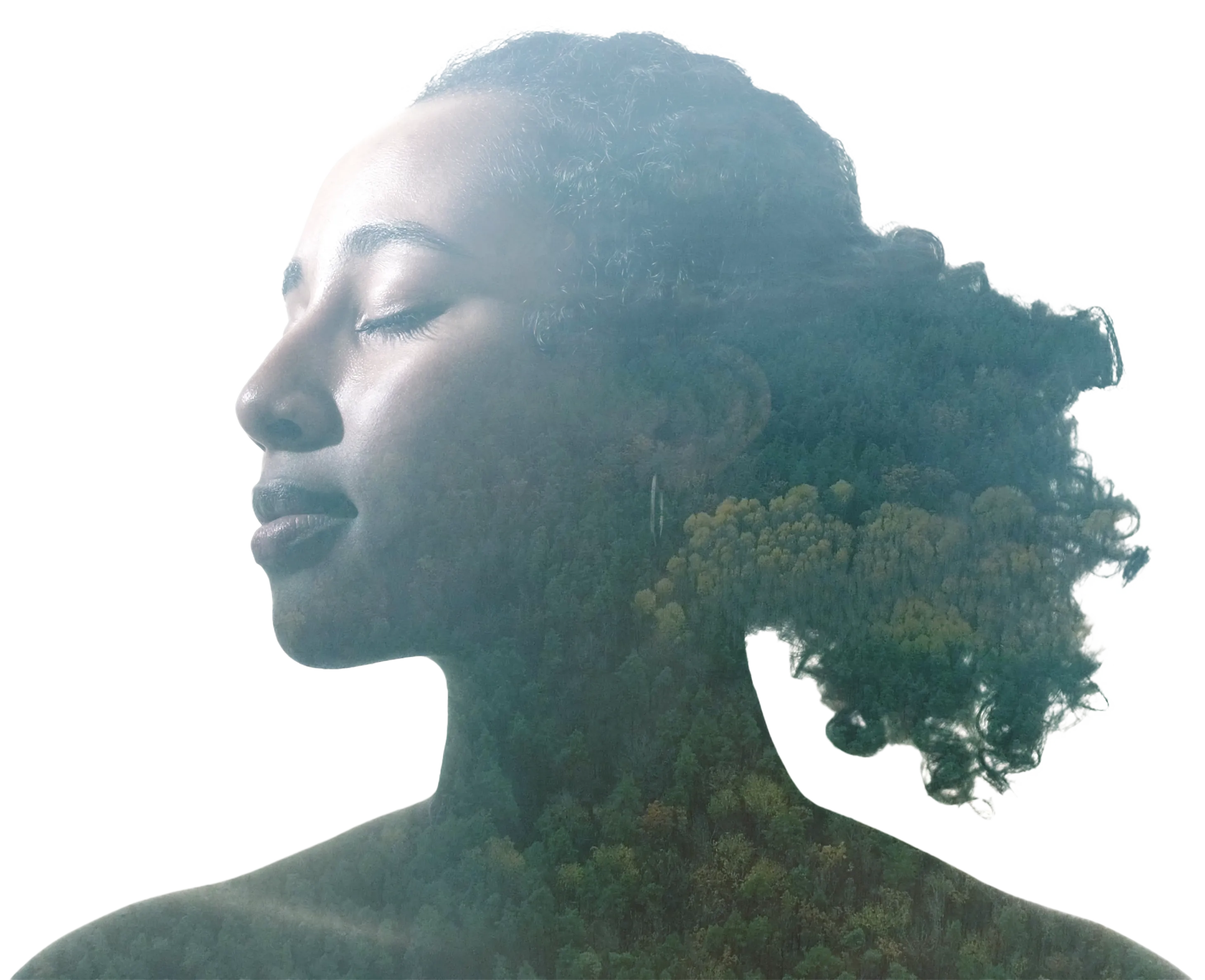 Online psychotherapy consultation