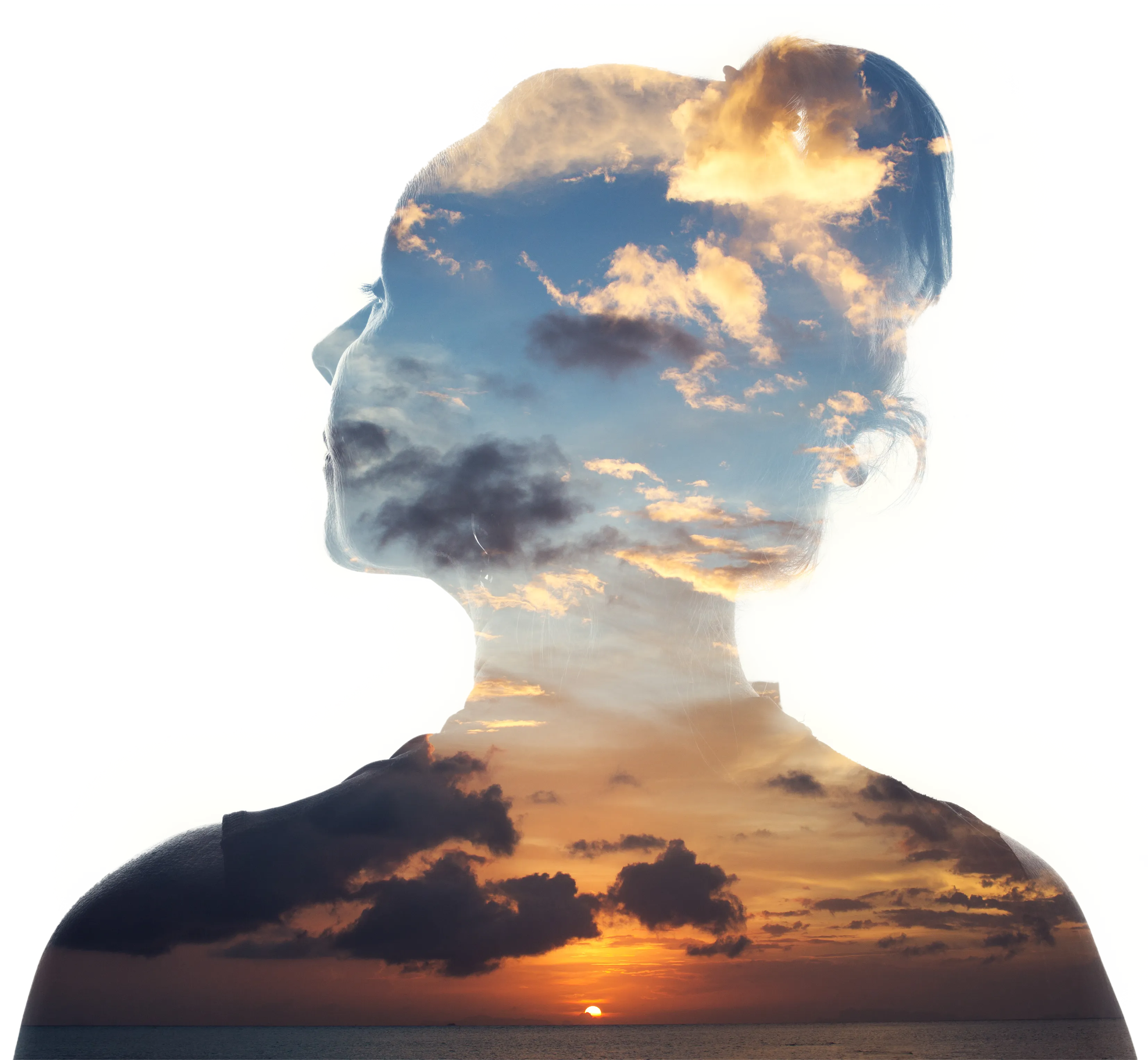 Online psychotherapy supervision
